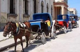 Cuban Horse & Buggy